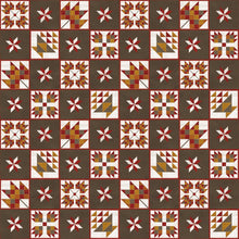 Load image into Gallery viewer, Fall Barn Quilts Fabric by Tara Reed for Riley Blake - Easy Piecy Quilts
