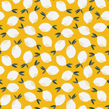 Load image into Gallery viewer, Fat Quarter Panel of Fruity - by Paintbrush Studios - Easy Piecy Quilts