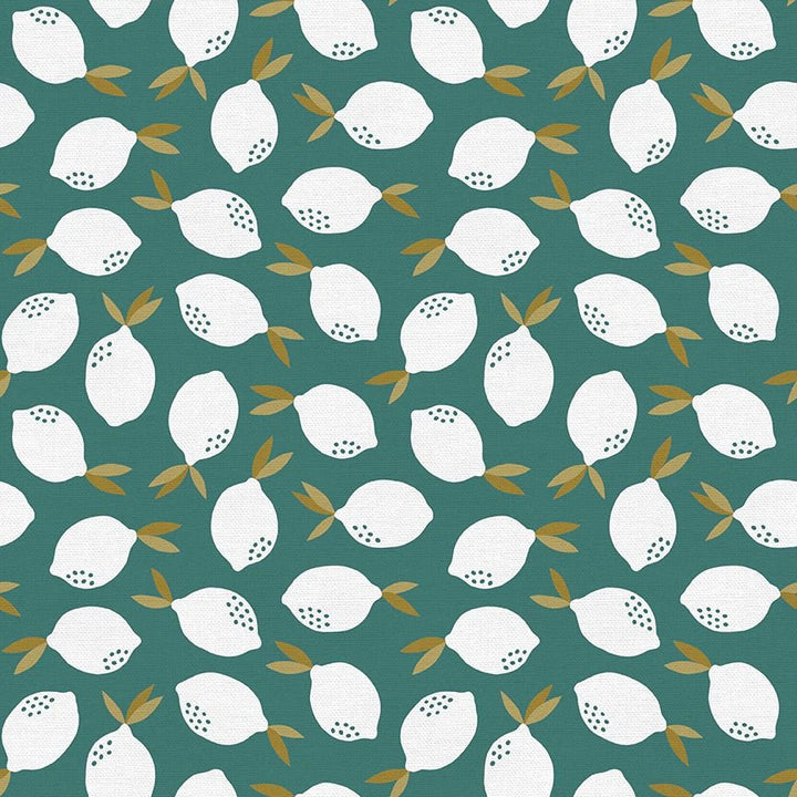 Fat Quarter Panel of Fruity 2 - by Paintbrush Studios - Easy Piecy Quilts