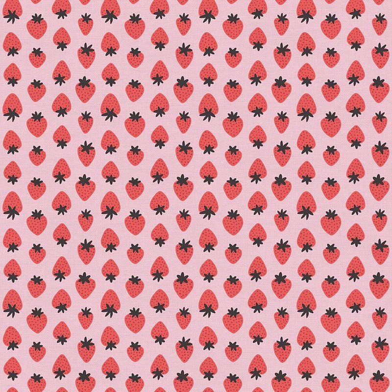 Fat Quarter Panel of Fruity - by Paintbrush Studios - Easy Piecy Quilts