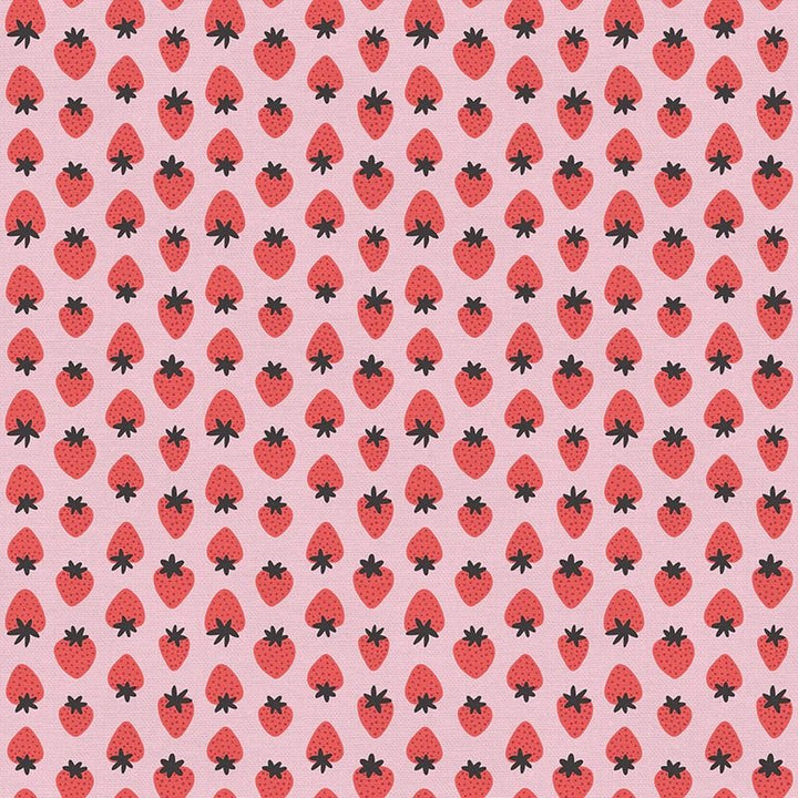 Fat Quarter Panel of Fruity - by Paintbrush Studios - Easy Piecy Quilts