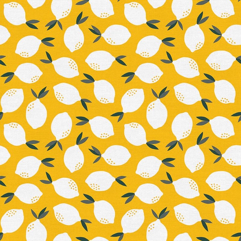 Fat Quarter Panel of Fruity - by Paintbrush Studios - Easy Piecy Quilts