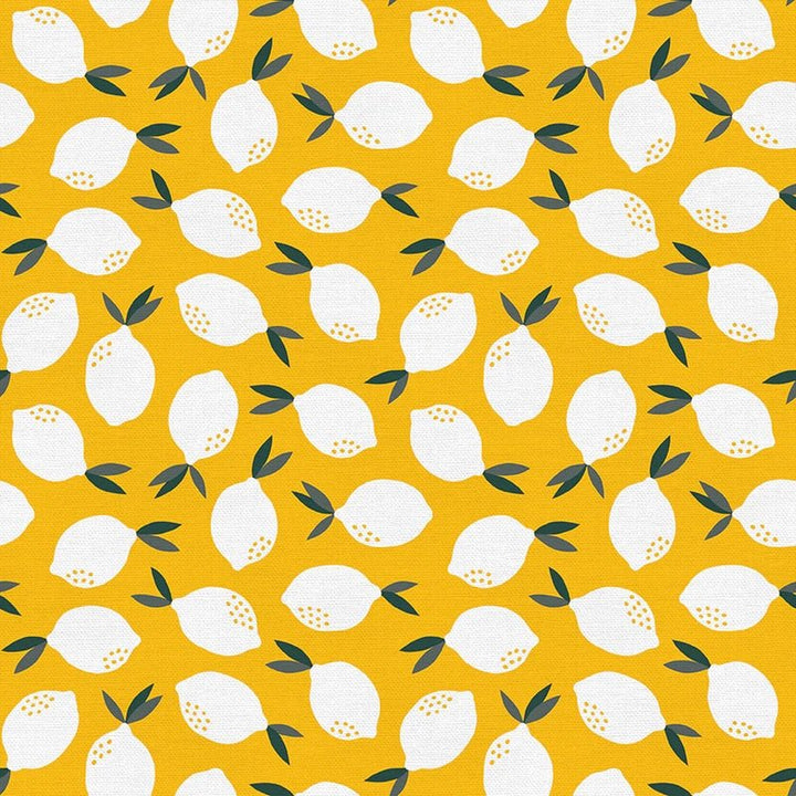 Fat Quarter Panel of Fruity - by Paintbrush Studios - Easy Piecy Quilts