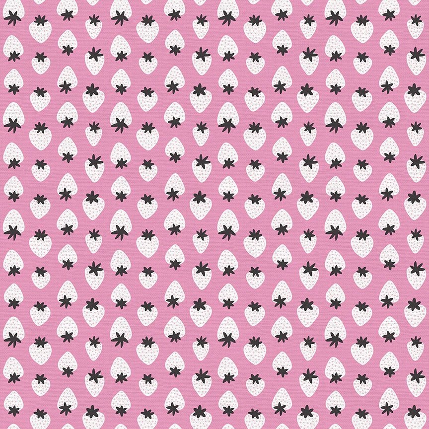 Fat Quarter Panel of Fruity - by Paintbrush Studios - Easy Piecy Quilts