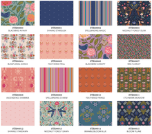 Load image into Gallery viewer, Starling, 17 FQ Bundle - Easy Piecy Quilts
